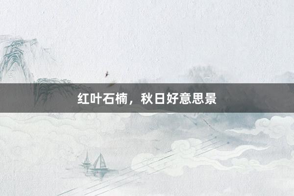 红叶石楠，秋日好意思景