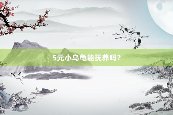 5元小乌龟能抚养吗？