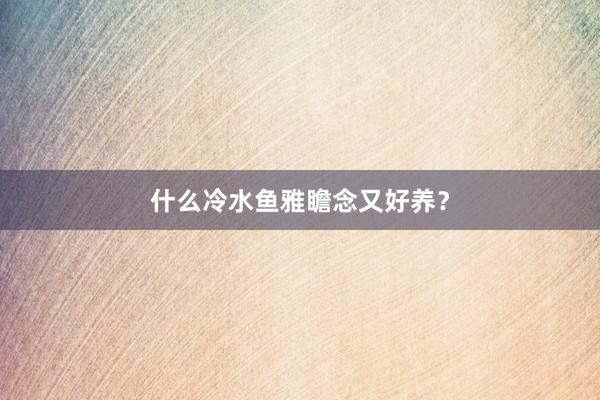 什么冷水鱼雅瞻念又好养？