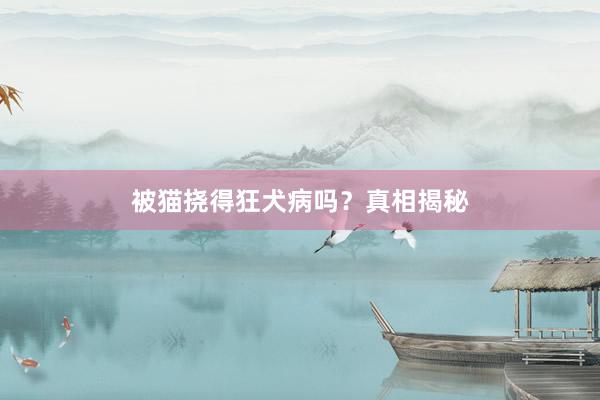 被猫挠得狂犬病吗？真相揭秘