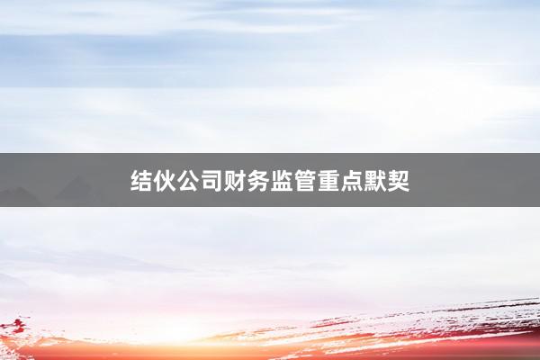 结伙公司财务监管重点默契