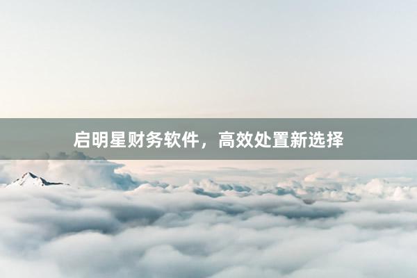启明星财务软件，高效处置新选择